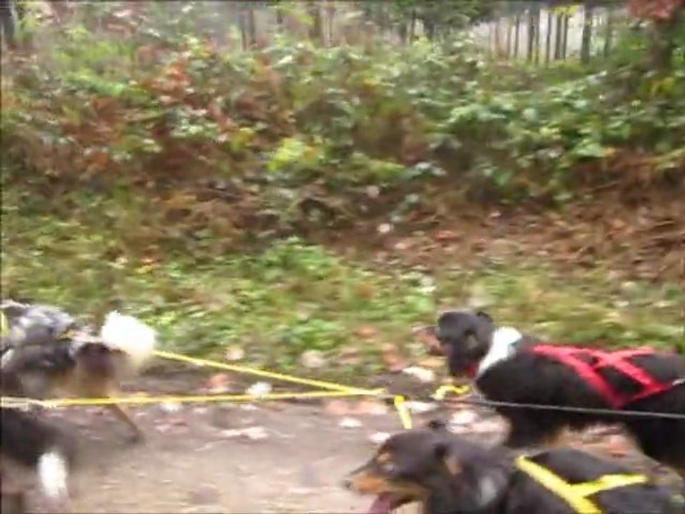 Kart Grancy 27.11.11