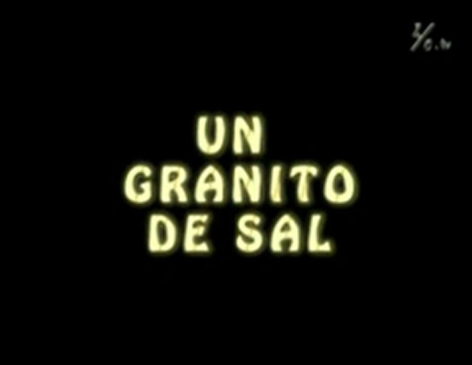 granito de sal 10