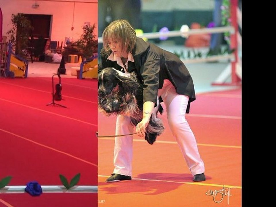 GPF 2011 c'ven