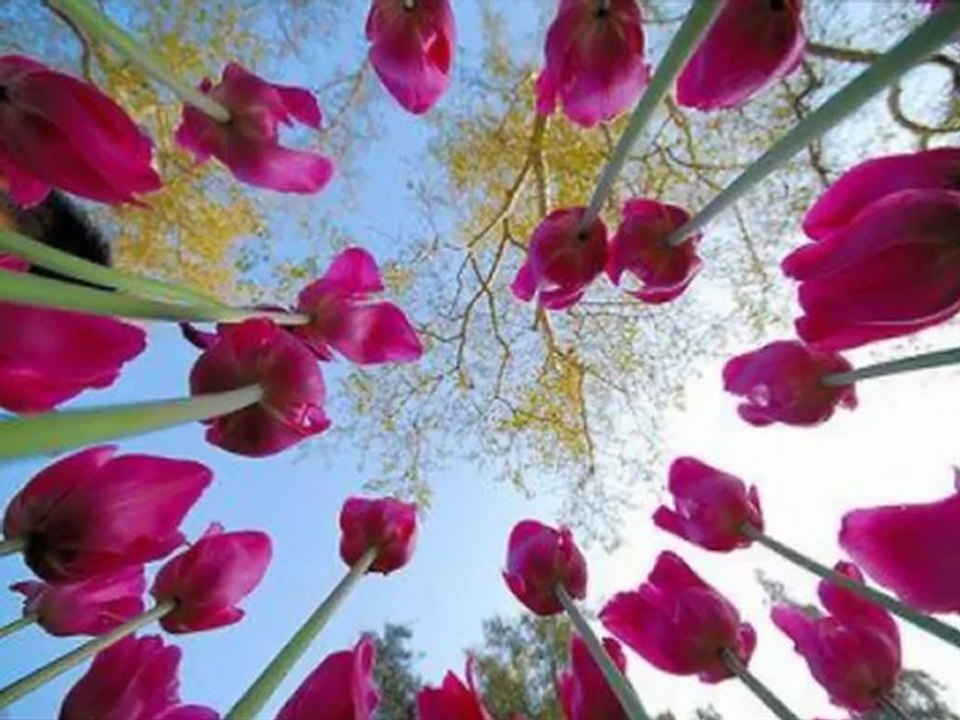 Çok Güzel İlahi Mustafa Haznedar