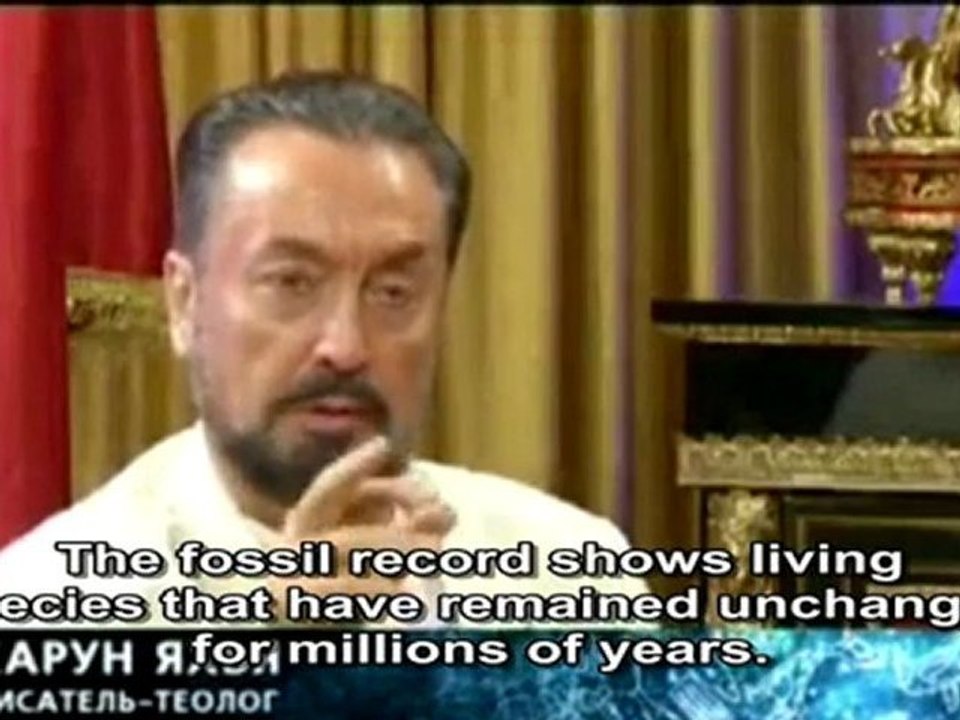 rent_tv_05112011_eng