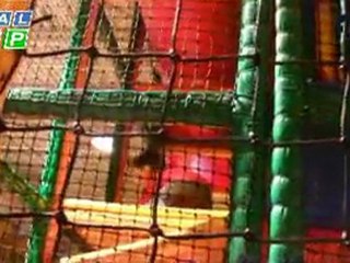 Mert MUTLU Canım Oğlumuz Mert 27.11.2011