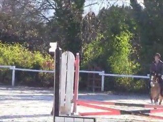 graine de championne equestre