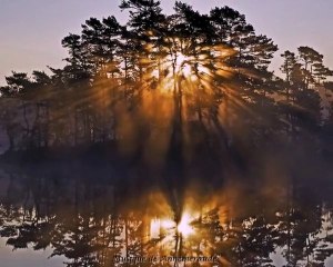 Louanges à l'Univers