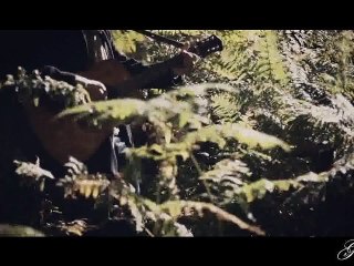 I CAMALEONTI  PERCHE' TI AMO