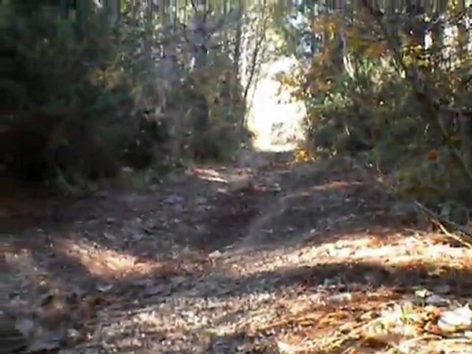 27-11-11 015