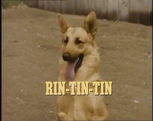 RinTinTin - 2  / La ville aux fantômes