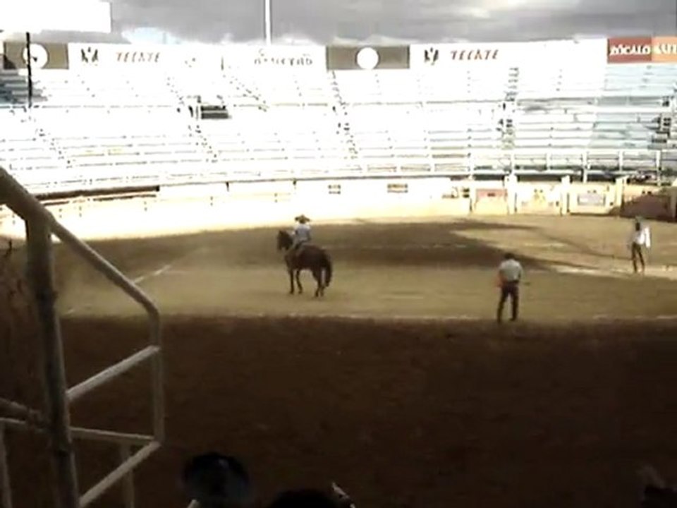 run and stop rodeo