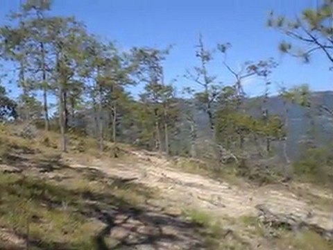 Venta de Terreno de 40 Manzanas en Intibuca, Hond