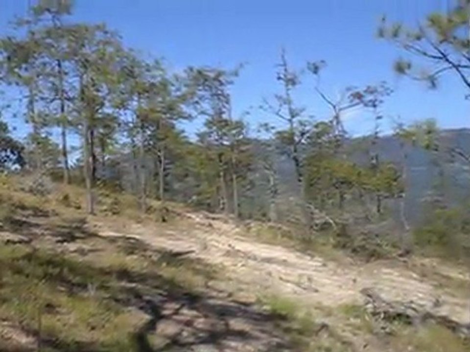 Venta de Terreno de 40 Manzanas en Intibuca, Hond