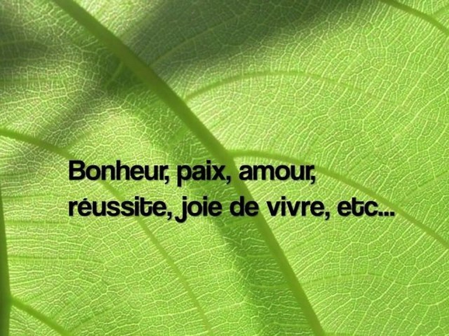 Reussir Joie De Vivre Et Bonheur Des Solutions Video Dailymotion