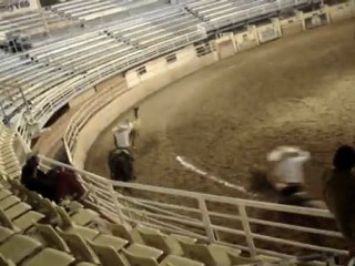 attrape le cheval au lasso