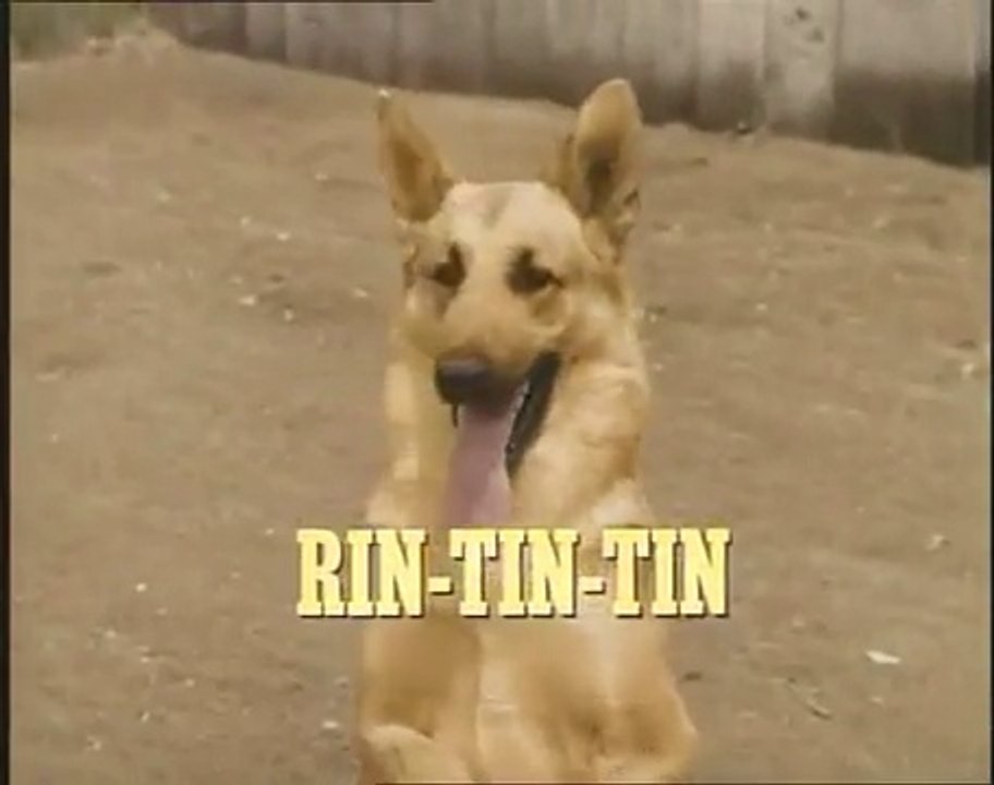 RinTinTin - 8   / Rusty se rend