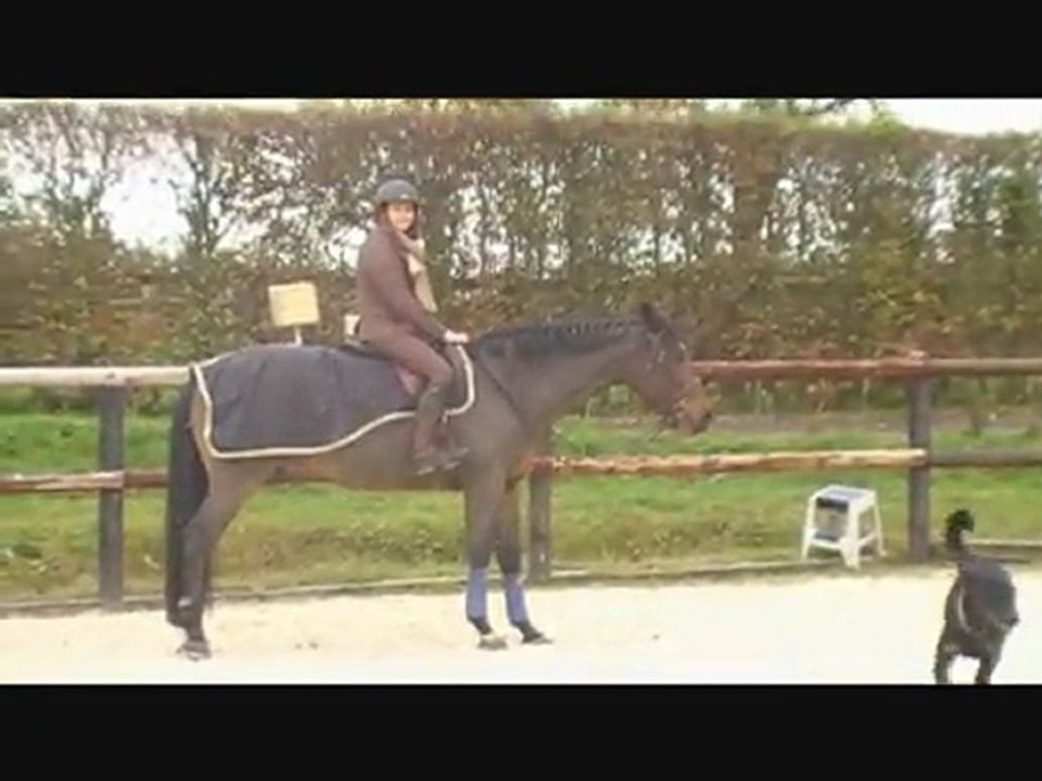 Calando Fred 27/11/2011