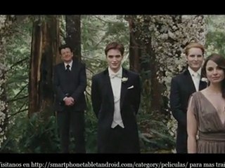 The Twilight Saga Breaking Dawn - Part 1