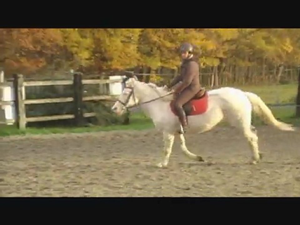 essai creme