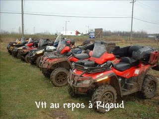 Les Cèdres 26 Nov 2011