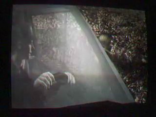 Résident Evil 4 Walkthrough Partie 1 L'arrivé en Enfer