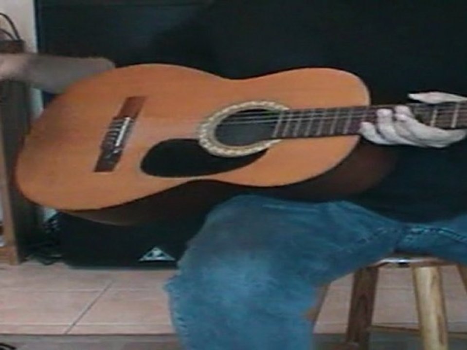 Cours de guitare Lily Pierre Perret