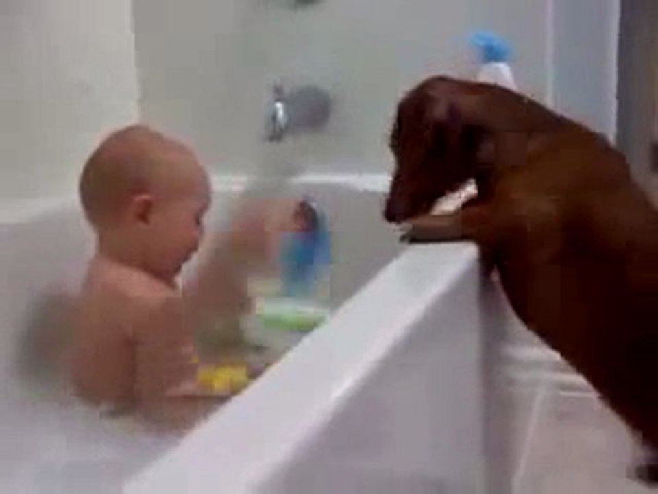 0409 - Bébé Mdr joue avec son chien