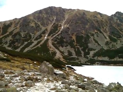 A JEDNAK CZARNE JEST BIAŁE!!!