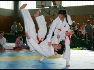 Ju-Jutsu,Karate,Taekwondo,Judo,Jiu-Jitsu