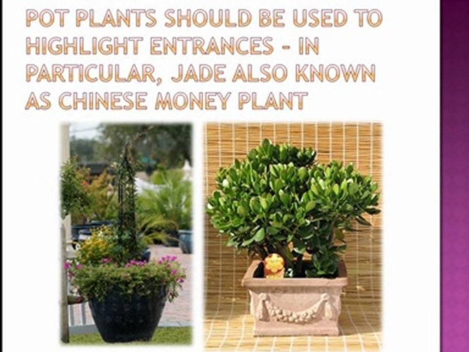 Feng Shui for Gardens and Outdoors