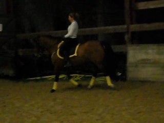 Don Amado, cours du 25/11/11