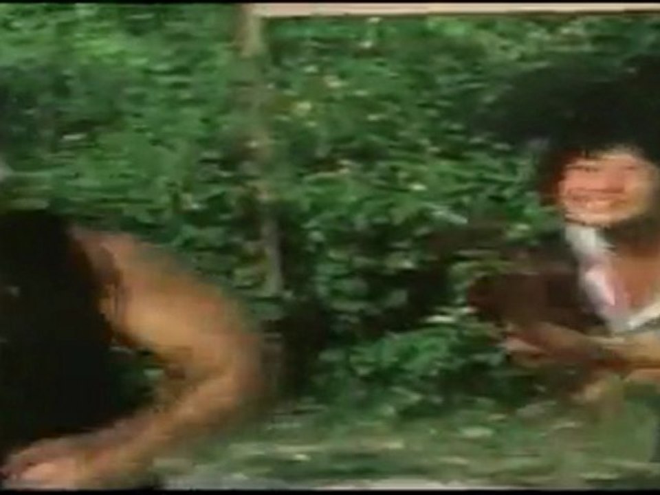 Action Scene From Bolo The Brute