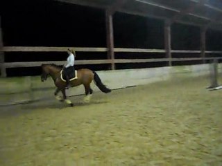 Don Amado, cours du 25/11/11
