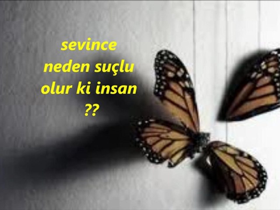 BenÍm bÍr senÍm var yetmezmÍ.....ŞÍÍr berrÍn korkmaz
