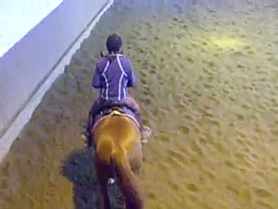 Paysage, détente au galop.