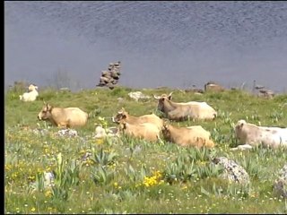 Emission "En voyage" sur la vallée du Lot réalisé par la RTBF