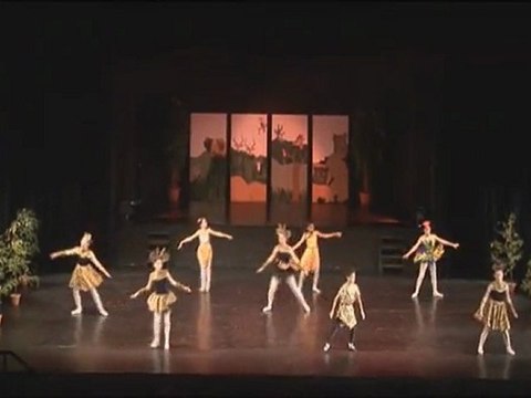 Gala de Danse 2009-04 Les amis de Simba