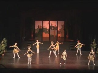 Gala de Danse 2009-04 Les amis de Simba