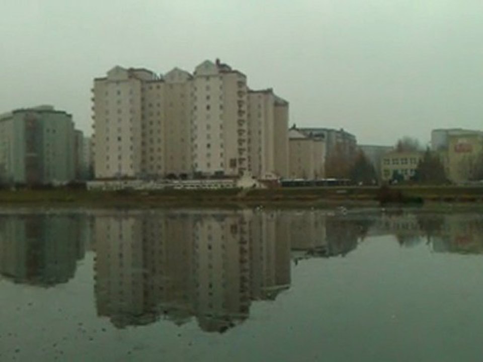 WP_20111117_111313Z