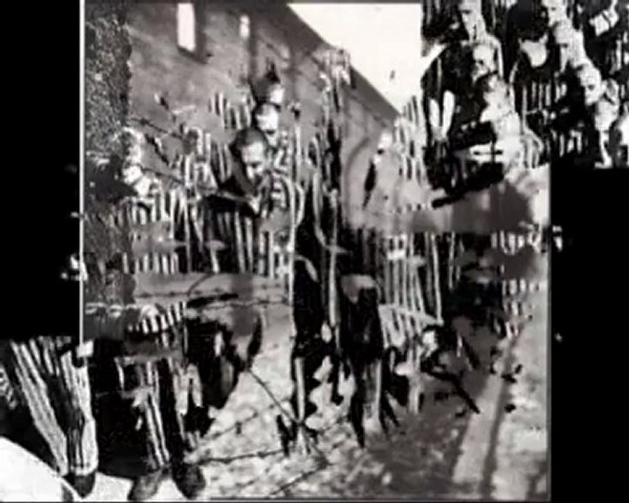 Altarimini. Giorno della memoria: anche Rimini non dimentica