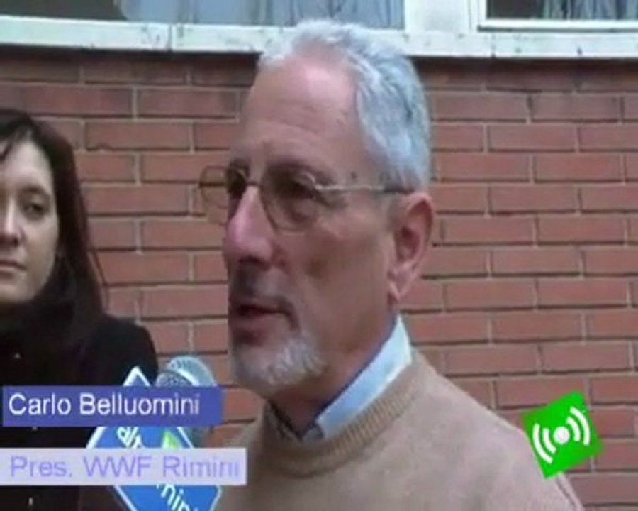 Altarimini. Rimini, bilancio per 'Una città per tutti'