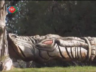 Hey Taksi-30.Blm-Monte Video