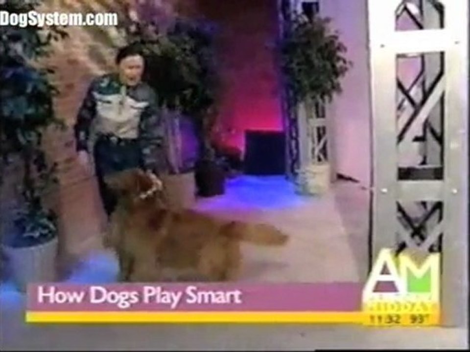 Dog Training - Teach Your Dog to Come When Called