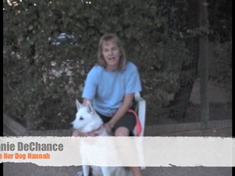 How to Train Your Dog the RIGHT Way