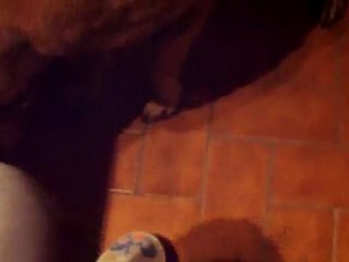 FIDJI - rapport d'objet (test perso 2)