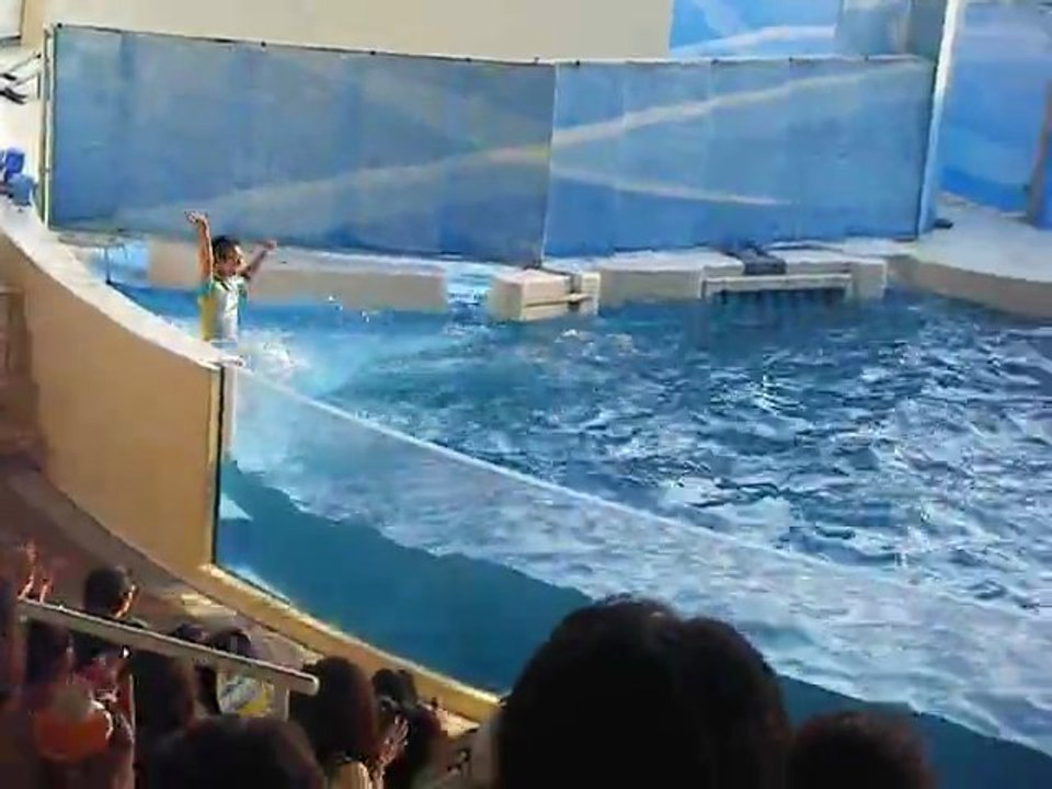 L'aquarium de ENOSHIMA