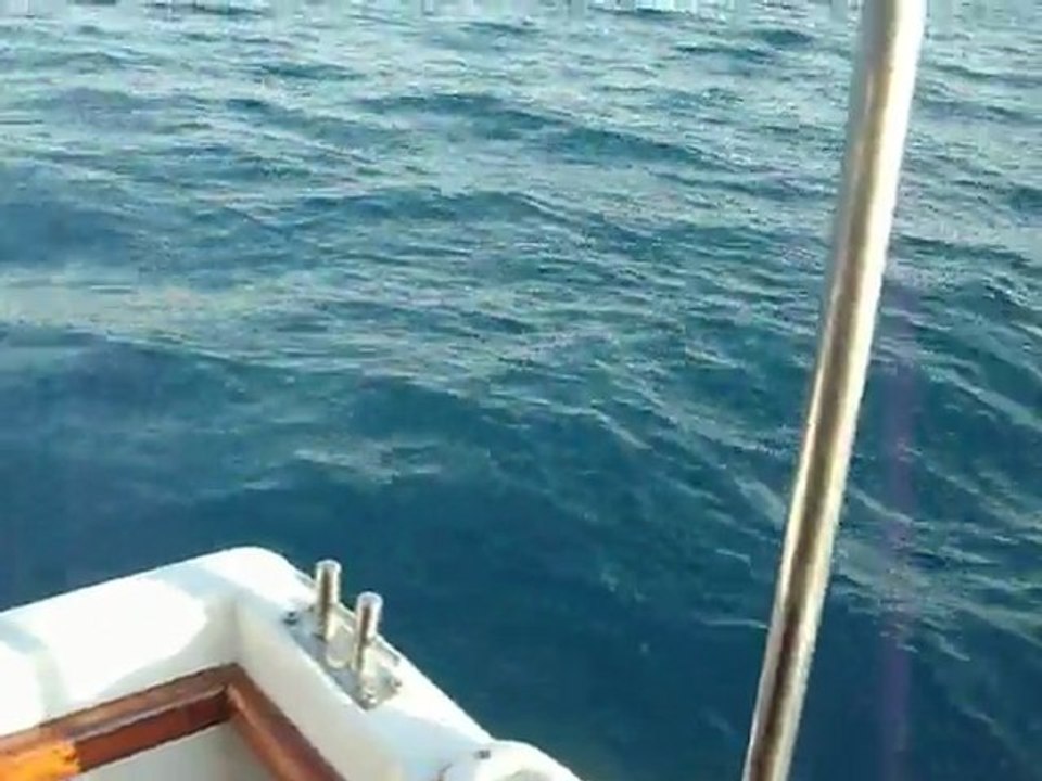 Antalya Yazılı orkinos 1