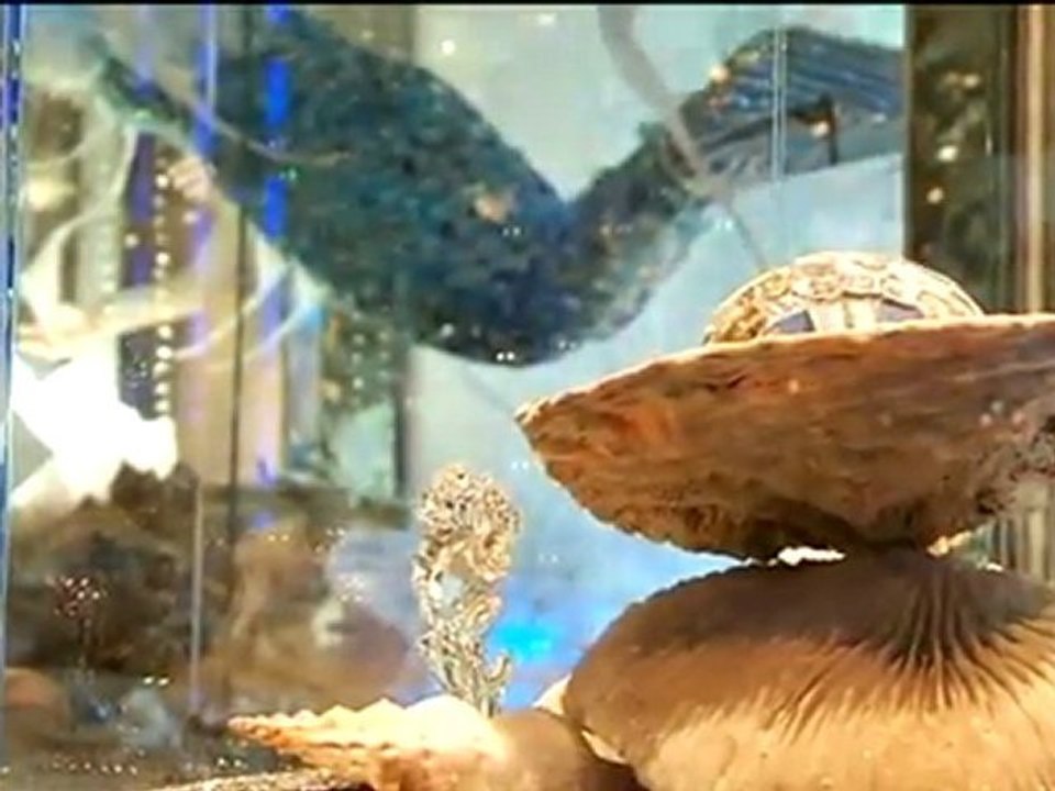 'REAL GOLD 'TVA - Videos & News aus Regensburg und der Region - Blizzlicht