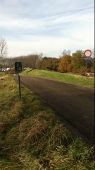 Iaranga : Jean-Luc & ses chiens près d'Anvers n°4