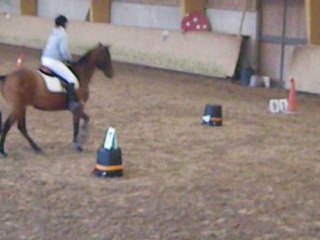 Equifun fessenheim le bas Lotus 11/56