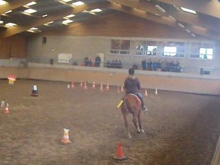 Equifun fessenheim le bas Caro et Juan 14/56