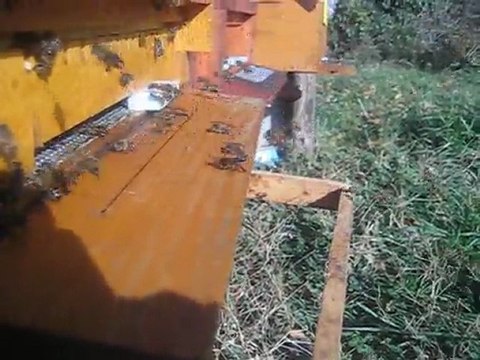 28 kasım 2011 hava ısısı 12 derece ve karniyol arının çalışması