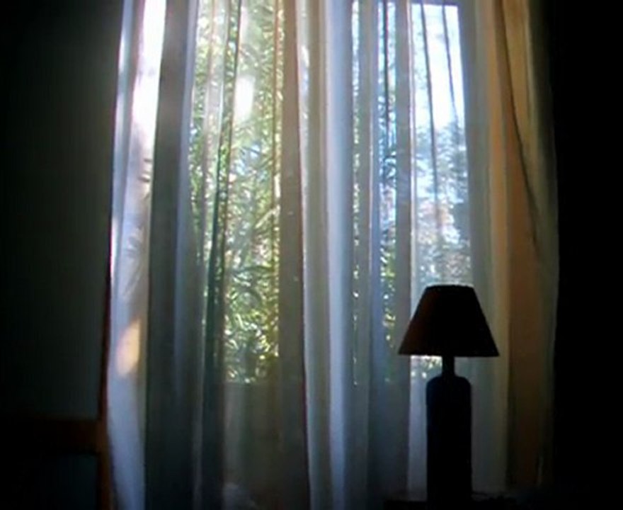 Retour vers le passé